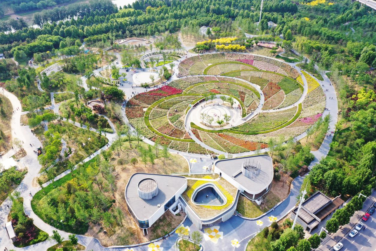 万余株“花中皇后”竞相绽放，这个五一来西流湖公园看花展吧！